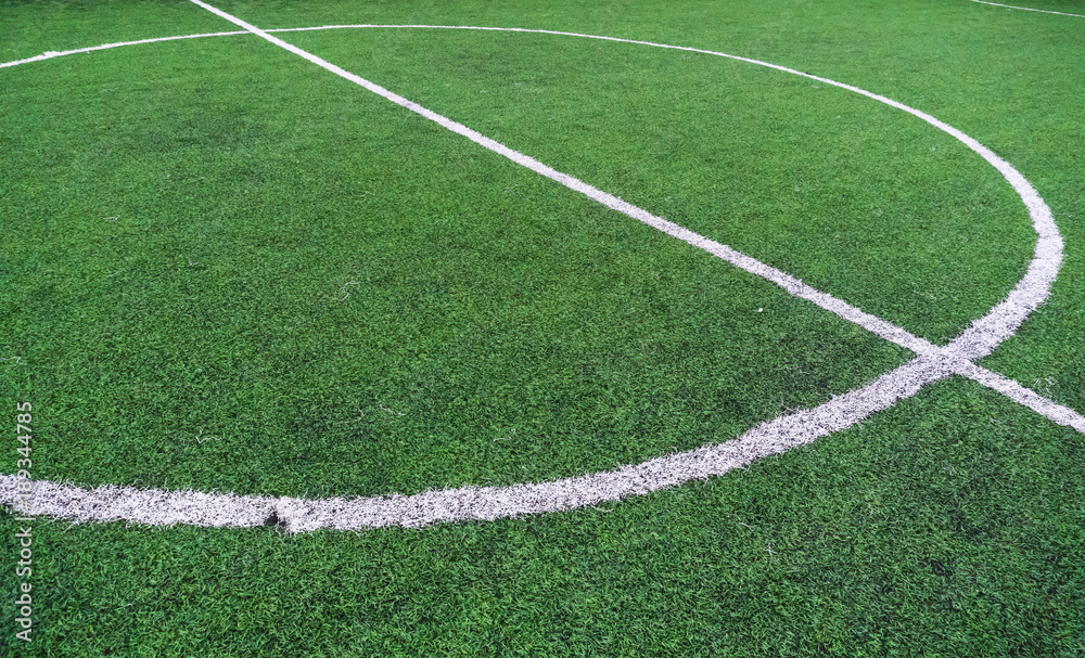 Soccer field with textured grass