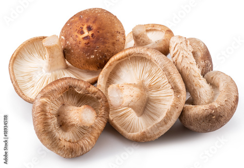 Shiitake mushrooms on the white background.