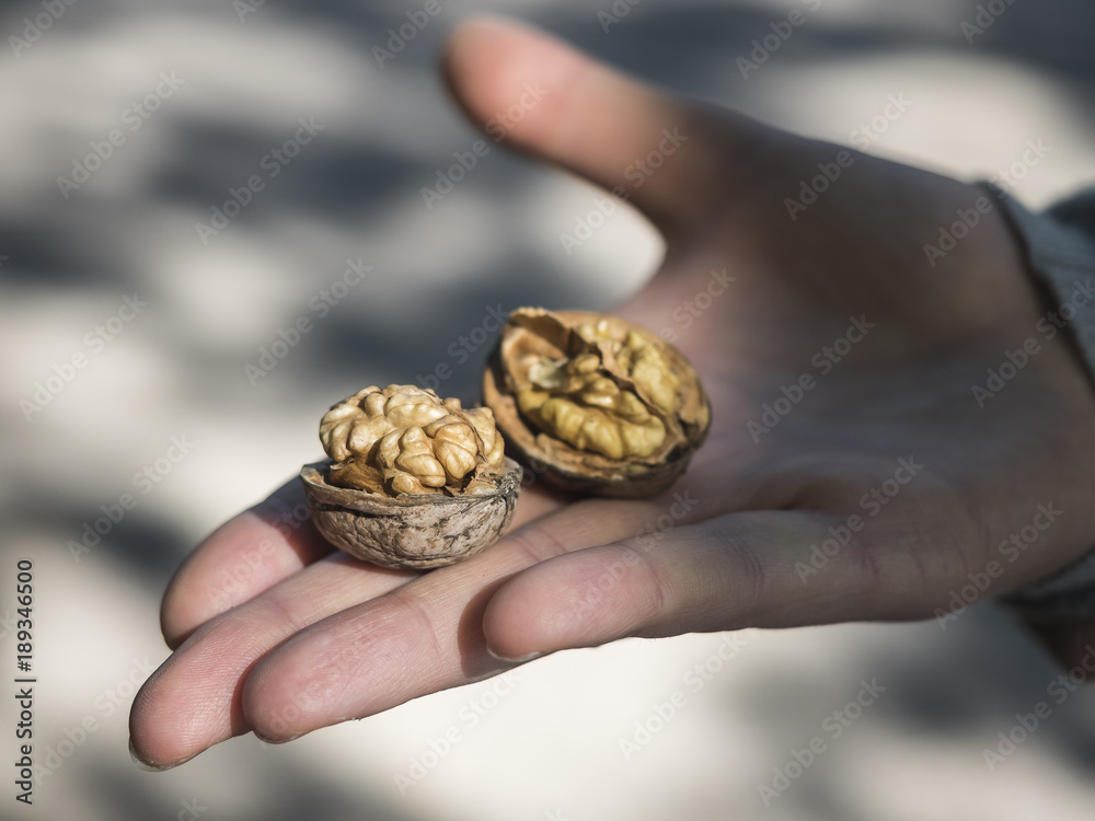are you nuts? are you nuts?