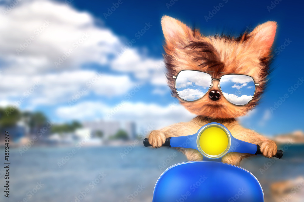 Obraz premium Dog on motorbike with travel background