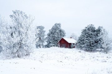 Tableau sur plexiglas Hiver Grange givrée dans paysage hivernal  © Conny Sjostrom