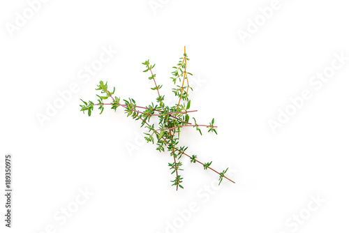 Fresh branches with leaves of organic thyme seen from above isolated on a white background. Horizontal composition. Top view