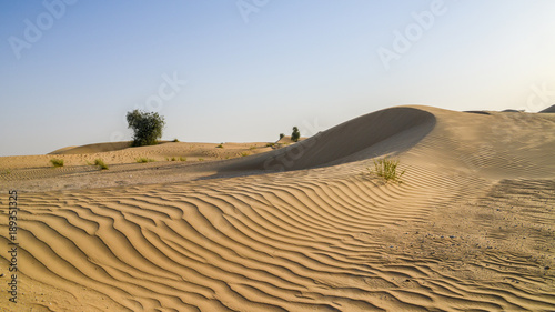 Patterns in sand dunes