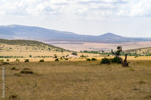 Storm on the savannah and hills of Maasai Mara Park in North West Kenya © Demande Philippe