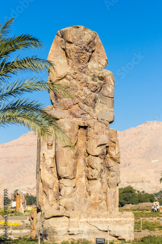 Memnon Coloss photo