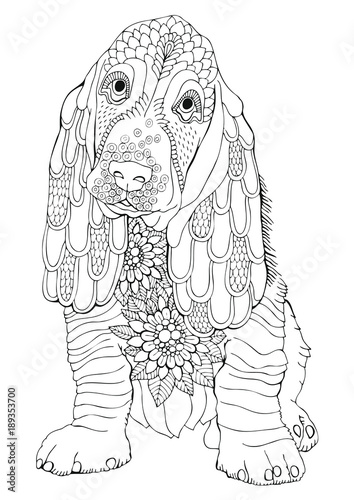 Basset. Hand drawn dog. Sketch for anti-stress adult coloring book in zen-tangle style. Vector illustration for coloring page. 