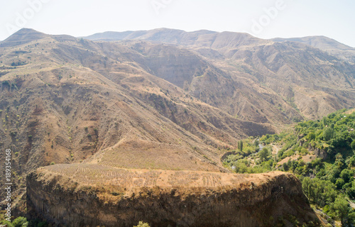 Vineyard on the plateau.