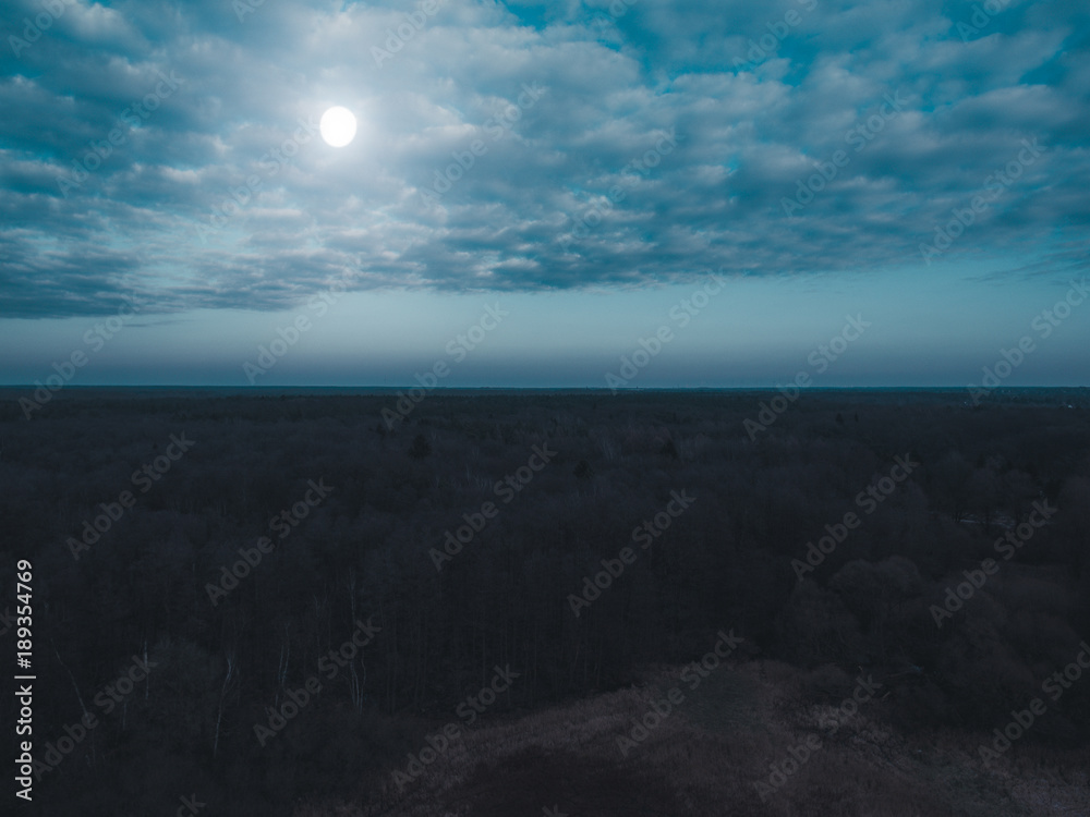 landscape overview of forest in the night