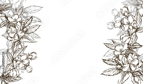 Vector card spring. Black and white blooming branches of apple tree.