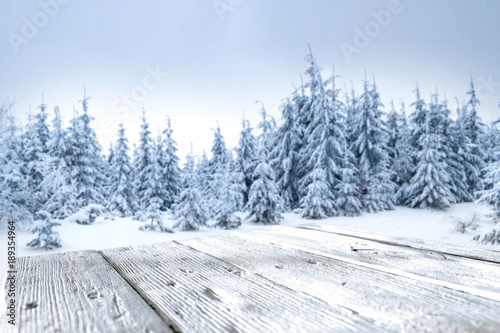 desk space and winter forest  © magdal3na