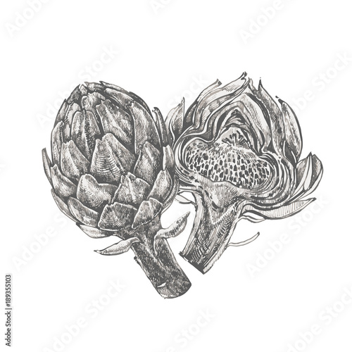 Artichoke. Hand drawn vector illustration. Can be used for shop, menu, cafe, restaurant, poster, banner.