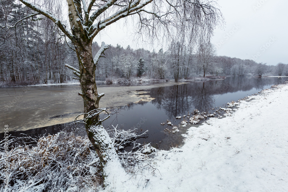 Winter scenery at Morrum river in south Sweden Winter scenery at Morrum river in south Sweden