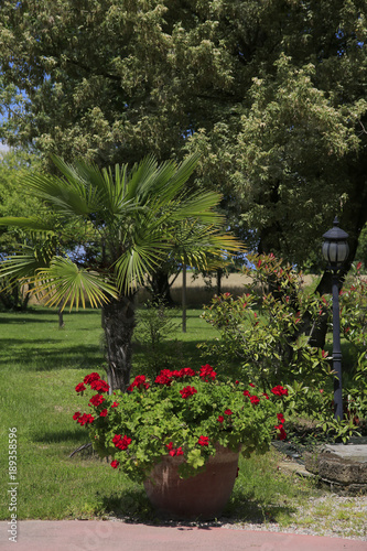 Mediteraner Garten mit Blühpflanzen, Italien, Europa