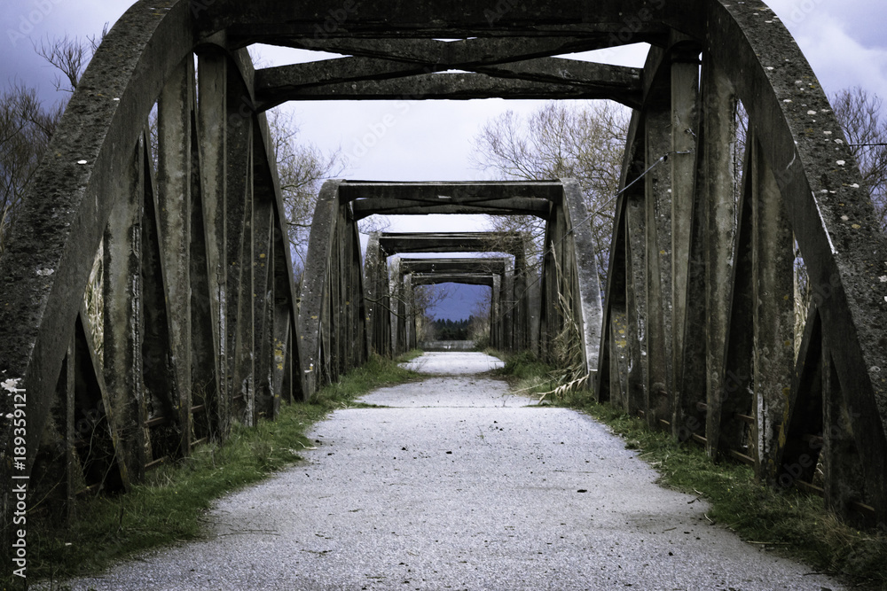 Front view of an abandoned gray concrete bridge with grass and bushes Lamezia Terme (calabria)