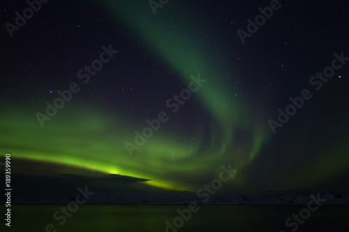 Aurora Borealis (Northern Lights) above coastal sea