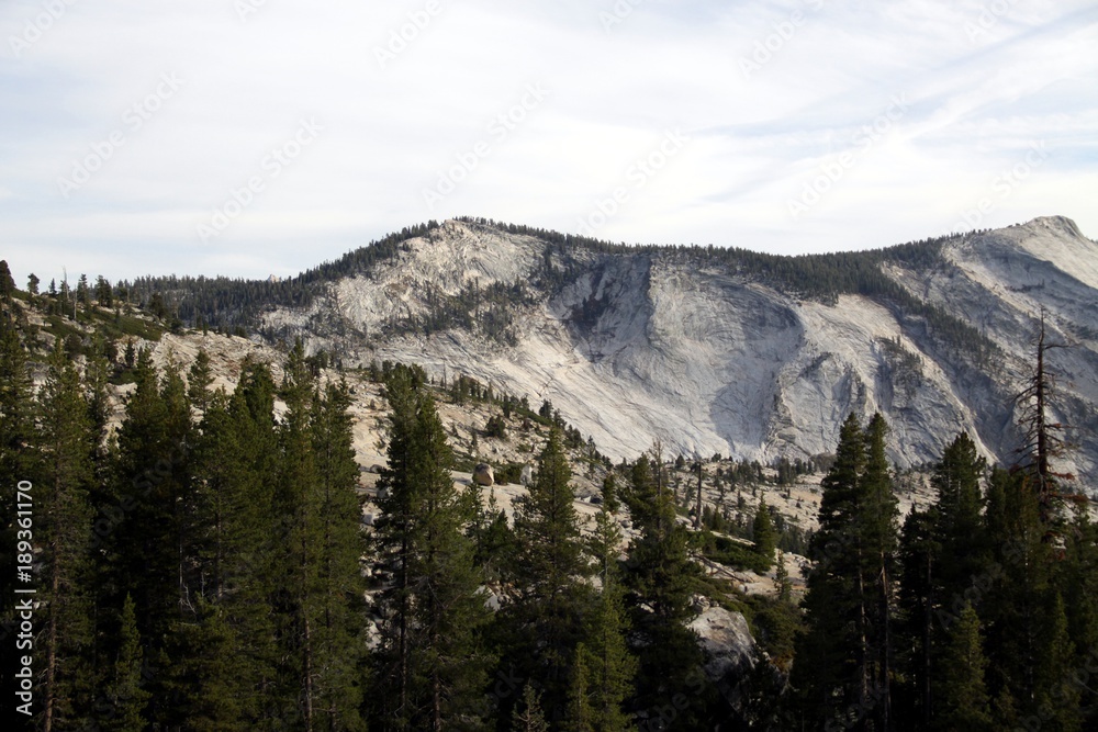 Beautiful Landscape of Yosemite NP - California - USA  