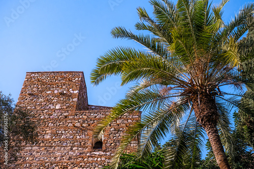 palm and ruins © Roberto Sorin