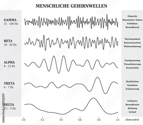 Ondes Cérébrales Humaines Diagramme / Illustration Noir et Blanc - Texte et Explications en Allemand