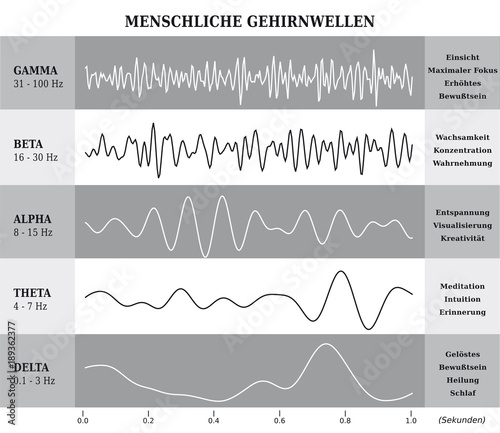 Ondes Cérébrales Humaines Diagramme / Illustration Noir et Blanc - Texte et Explications en Allemand
