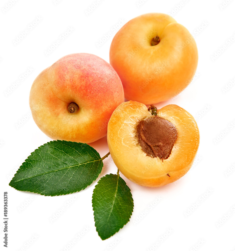 Fresh apricots in section with green leaves still life of ripe Fresh apricots in section with green leaves still life of ripe
