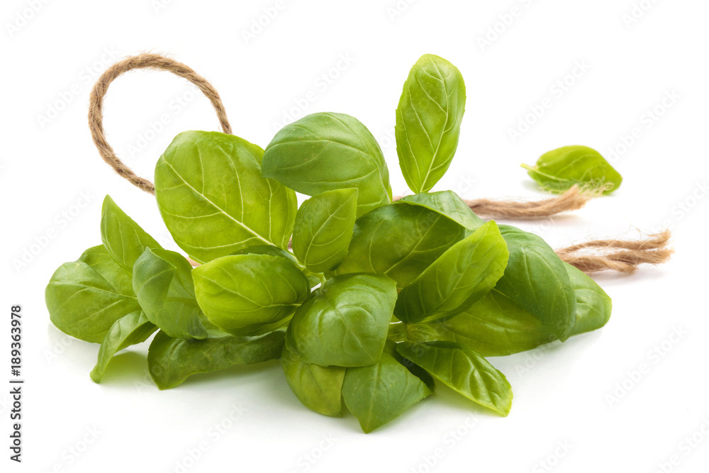 Fototapeta premium Fresh herbs on white.