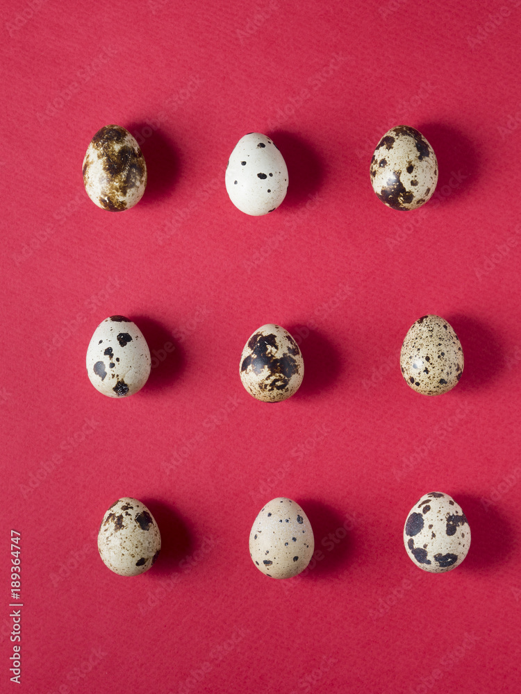 Quail eggs on red background. Shot from above. Easter conception