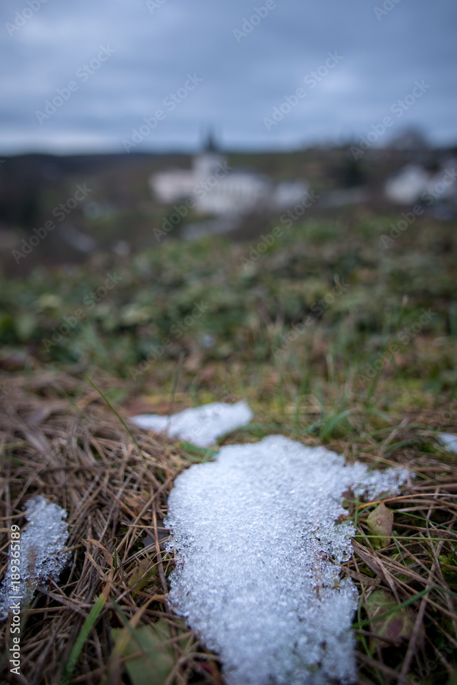 Obraz premium Close up