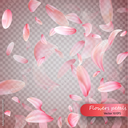 Pink sakura falling petals vector background. Wedding, Valentine or Women day pink floral blossoms flying in wind whirl backdrop. Petals falling on vector transparent background. Vecto 10 EPS © Hanna_zasimova