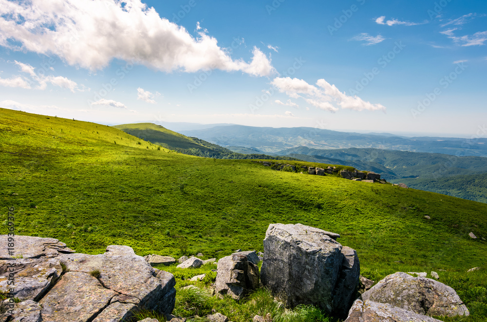 grassy slopes with huge rocks. beautiful mountainous landscape in summertime. location mountain Runa, TransCarpathian region of Ukraine