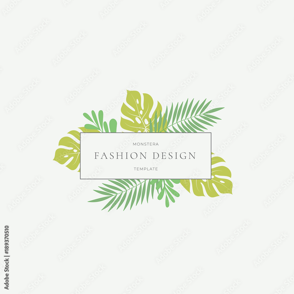 Monstera Tropical Leaves Fashion Sign or Logo Template. Abstract Green  Foliage with Rectangle Border and Classy Typography. Pastel Colors. Stock  Vector | Adobe Stock