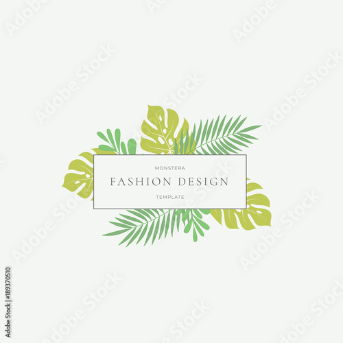 Monstera Tropical Leaves Fashion Sign or Logo Template. Abstract Green Foliage with Rectangle Border and Classy Typography. Pastel Colors.