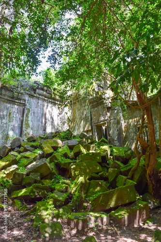 Beautiful forest scene in Beng Mealea ruins, in Cambodia