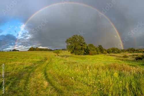 rainbow over a spring meadow