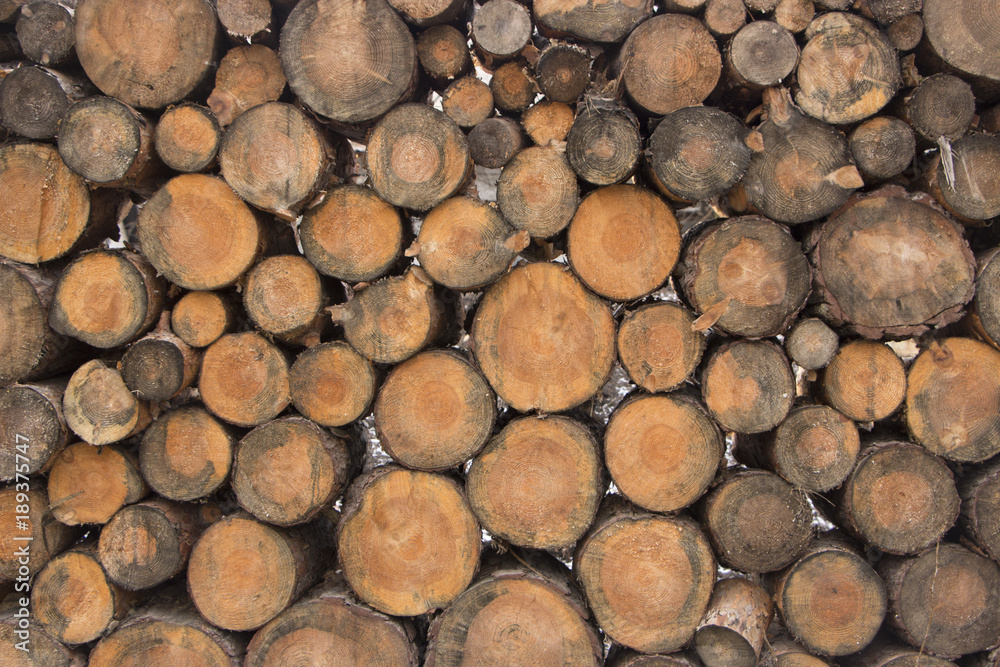 round timber texture background close up