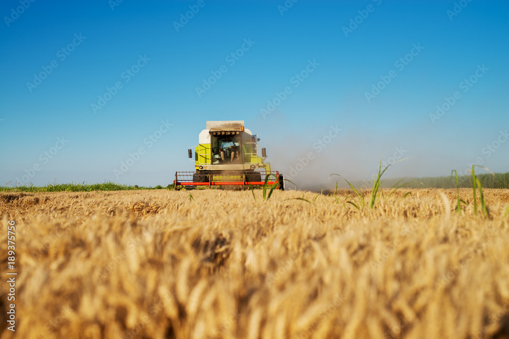 Harvesting machine working at field in sunny morning. Agriculture concept. Combine harvester at wheat field. Harvesting machine working at field in sunny morning. Agriculture concept. Combine harvester at wheat field.