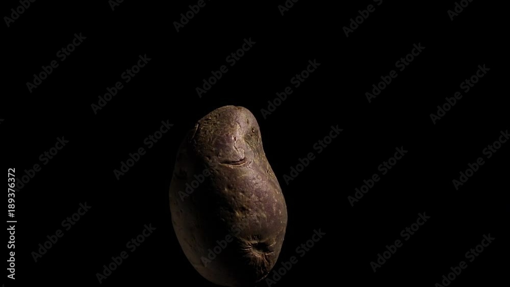 red potato rotating on black background red potato rotating on black background