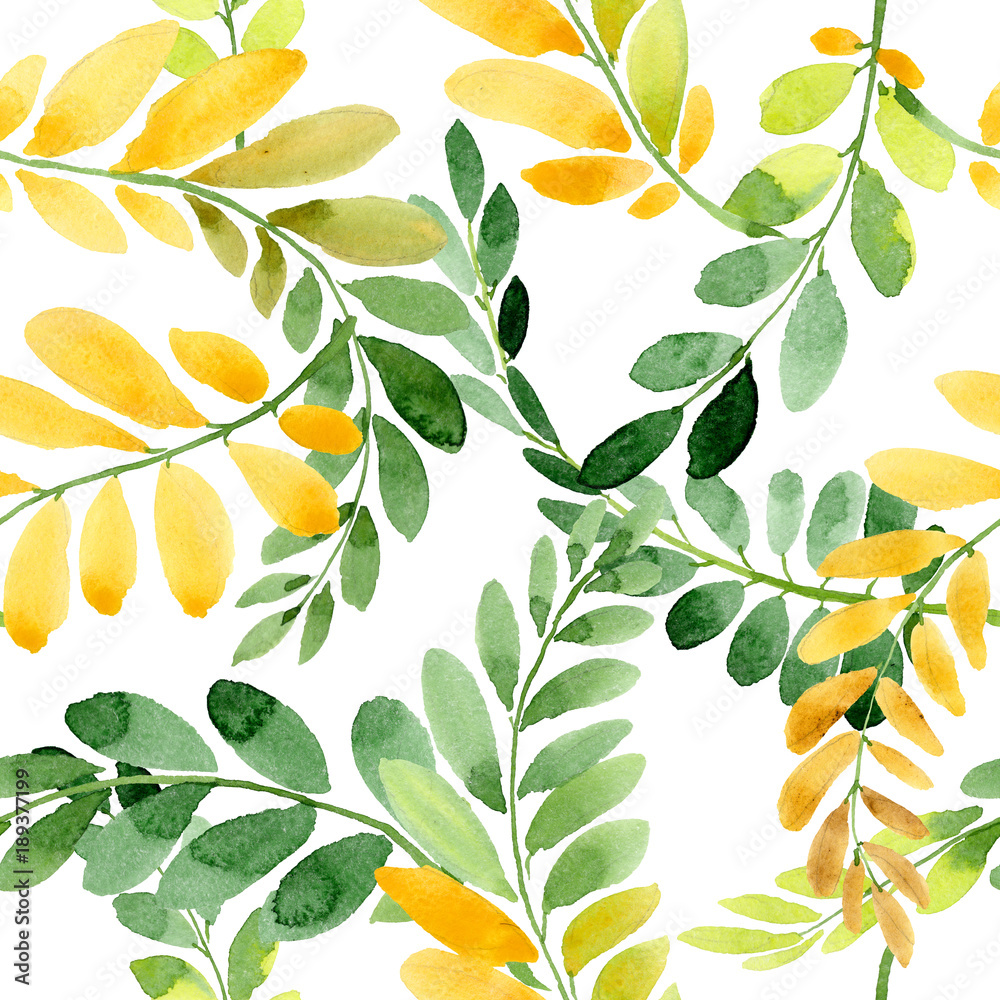 Autumn leaf of acacia pattern in a hand drawn watercolor style. Aquarelle acorn for background, texture, wrapper pattern, frame or border.