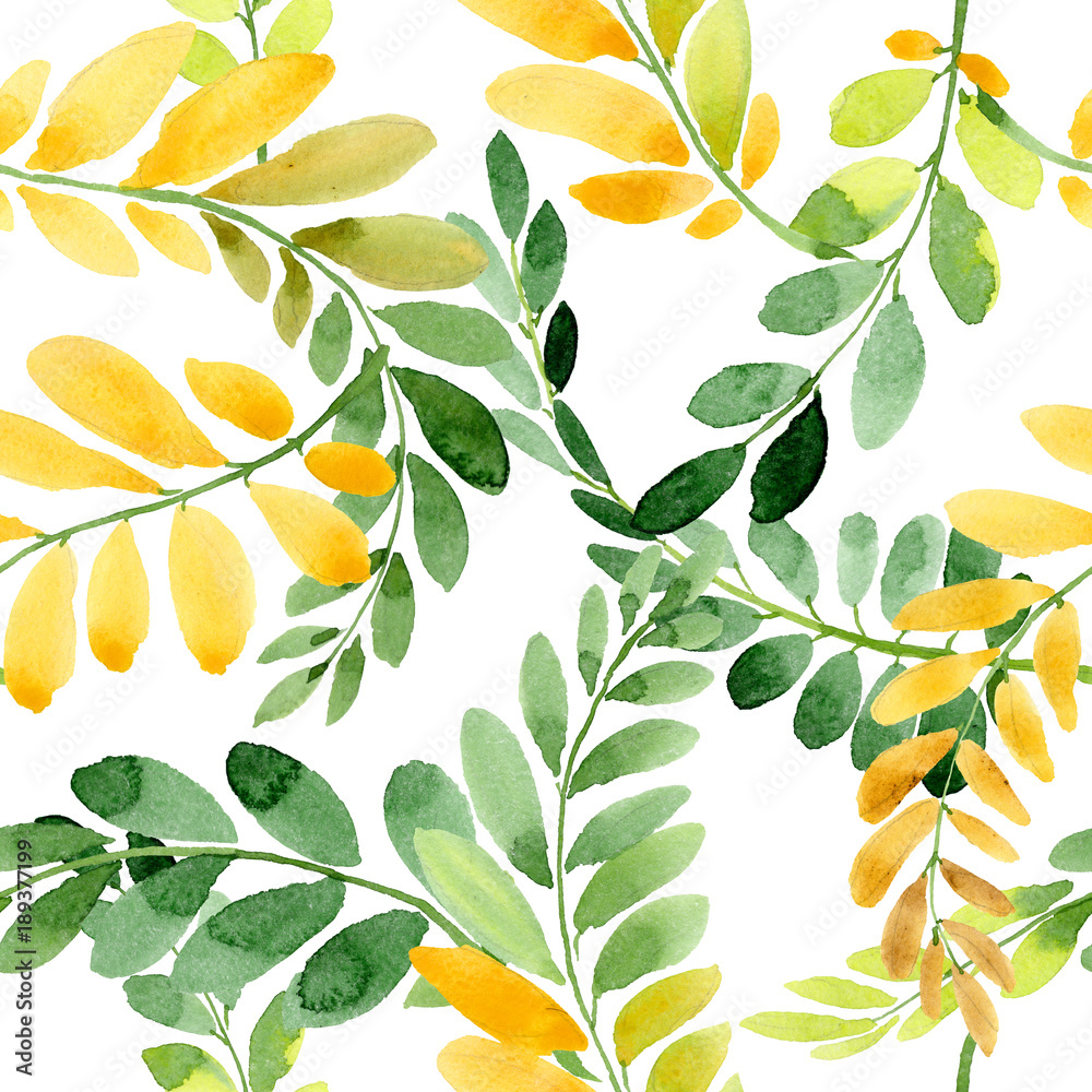 Autumn leaf of acacia pattern in a hand drawn watercolor style. Aquarelle acorn for background, texture, wrapper pattern, frame or border. Autumn leaf of acacia pattern in a hand drawn watercolor style. Aquarelle acorn for background, texture, wrapper pattern, frame or border.