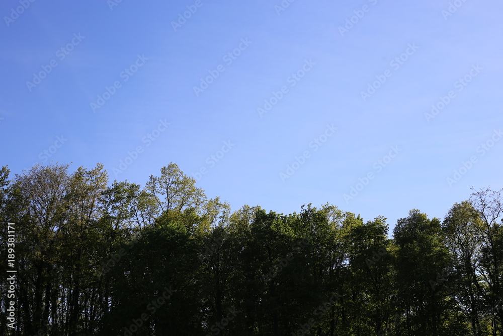 Obraz premium travel