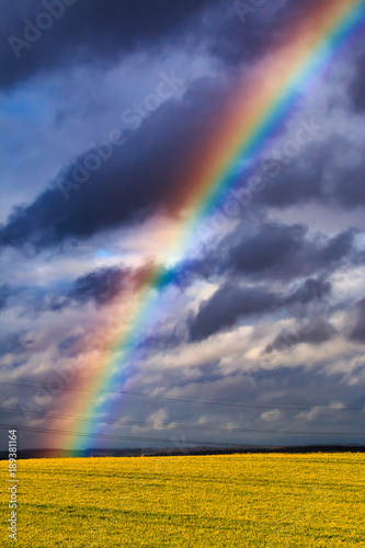 Regenbogen über einem Rapsfeld