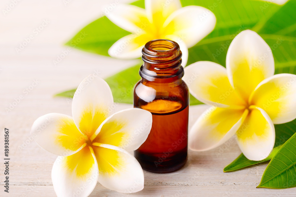 Plumeria Essential Oil Perfume and yellow plumeria flowers on the wooden table