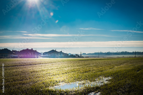 A green field during winter to spring transition, with frozen water puddles and green crops. © Michal