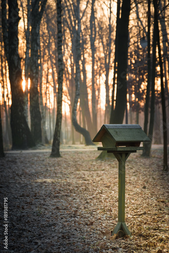 A wooden and frozen bird feeder in a park during an orange sunrise on a cold winter day