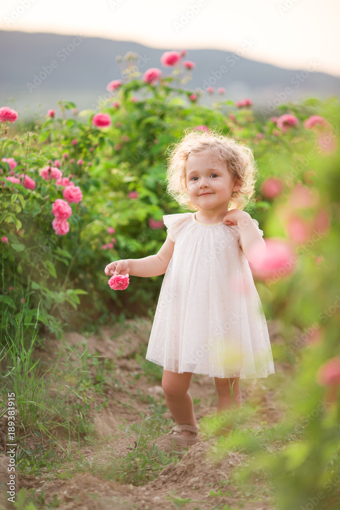 Pretty curly child girl is walking in spring garden with pink blossom roses flowers, sunset time
