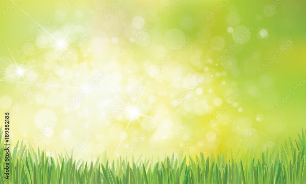 Vector spring  nature  background,  green grass on green bokeh background.