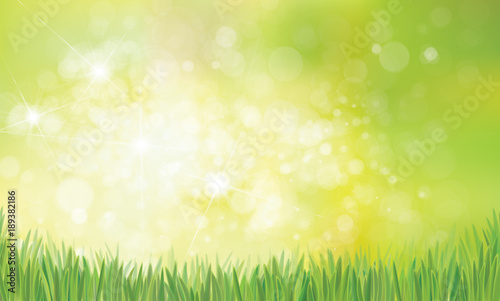 Vector spring nature background, green grass on green bokeh background.