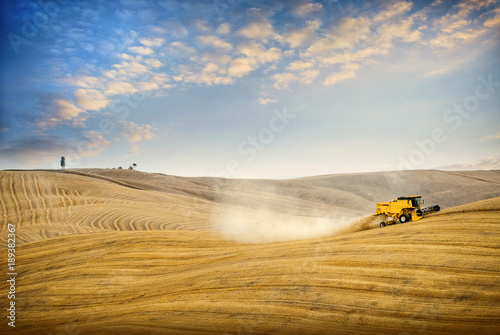 Val D'Arbia. Wheat harvest on the rolling Tuscan hills at sunset. Italy. photo