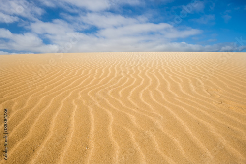 Dunes in the desert of corralejo national park