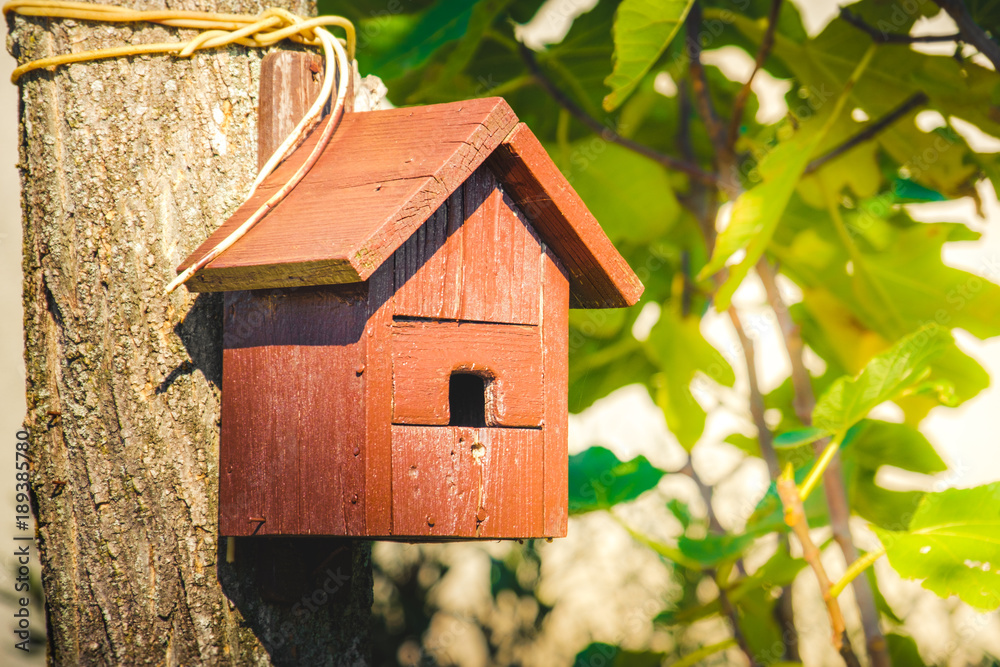 birdhouse wooden copyspace orange birds home tree birdbox birdhouse wooden copyspace orange birds home tree birdbox