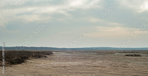 Wide plain with sand and heather on overcast winter day.